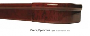 opera-prelyudiya6