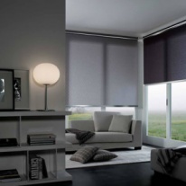 elit11