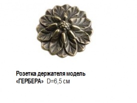 gerbera
