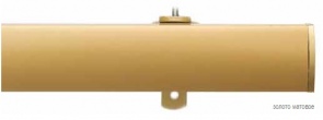 dm2