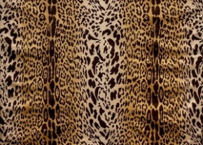 8l