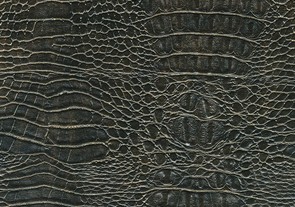 am2e
