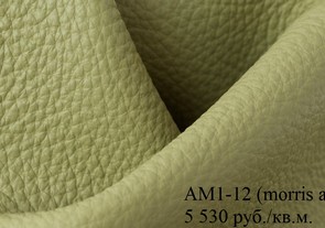 am1k