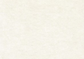 am4e